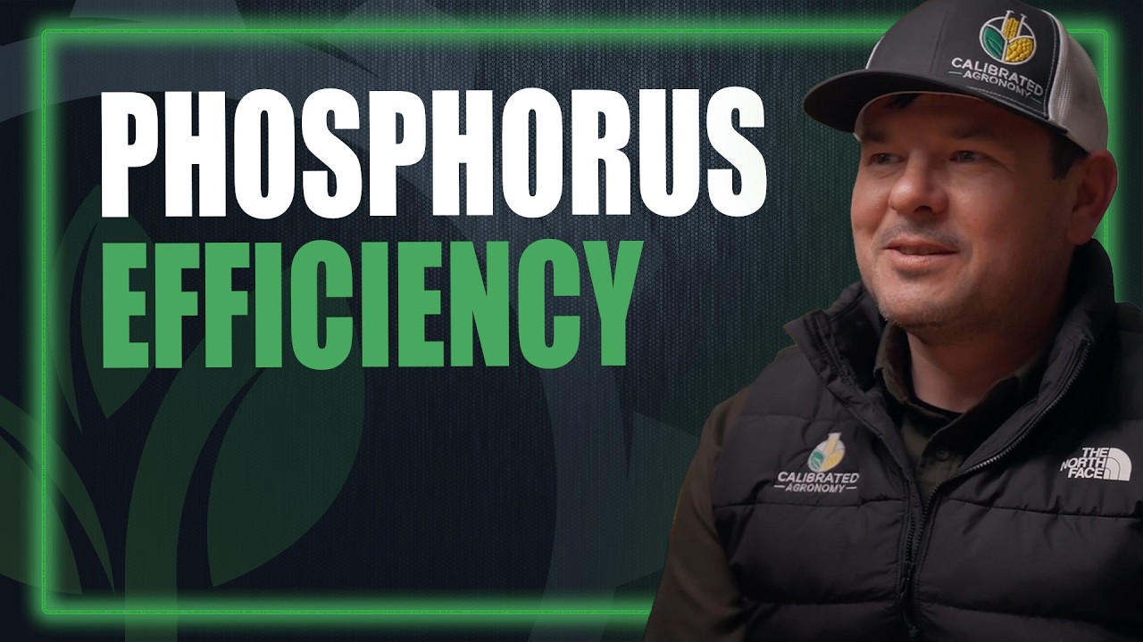 Phosphorus Efficiency Isn’t Just About Pounds — It’s About Access