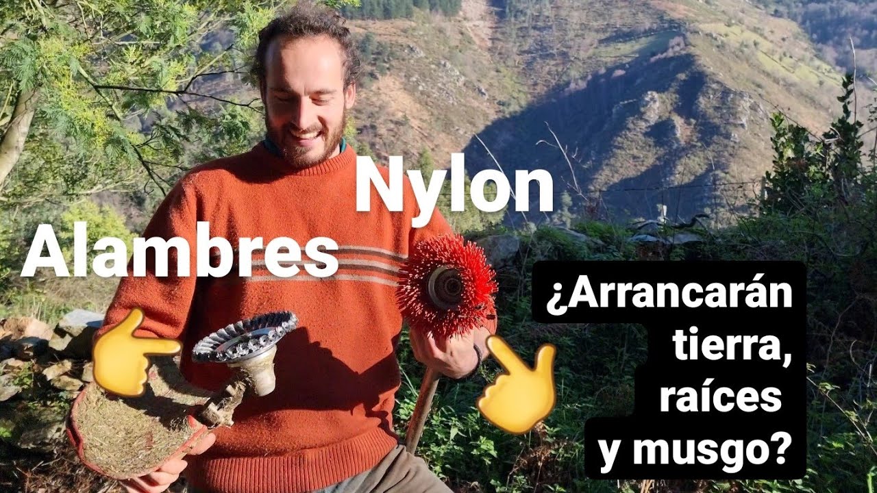 CEPILLO de ALAMBRES para la DESBROZADORA