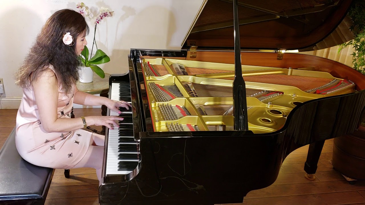 Franz Schubert - Sonata Op.120 #1 movement. Played by Lisa Park