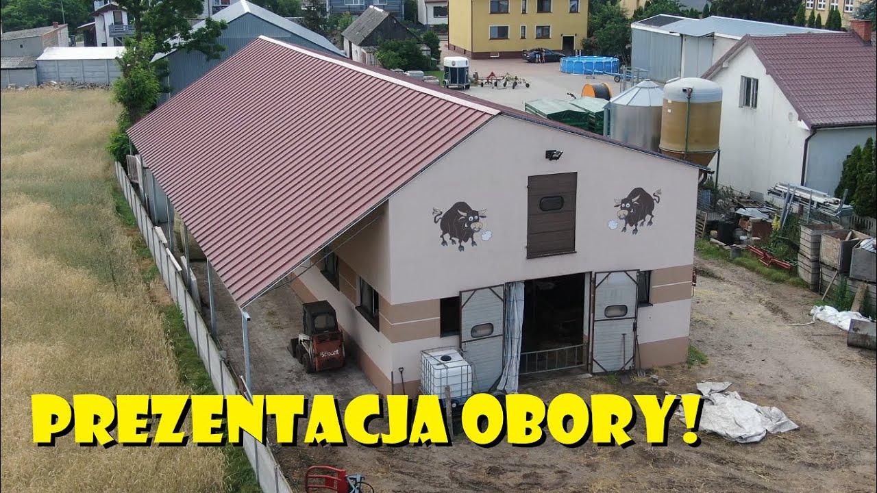 PREZENTACJA OBORY🐂BYDŁO U AGRO KUZYN&Oacute;W😃