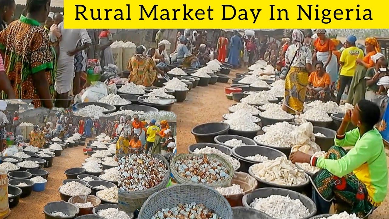 Cost of ORGANIC FOOD At Rural Village Market  In Nigeria 🇳🇬  vlogmas2024