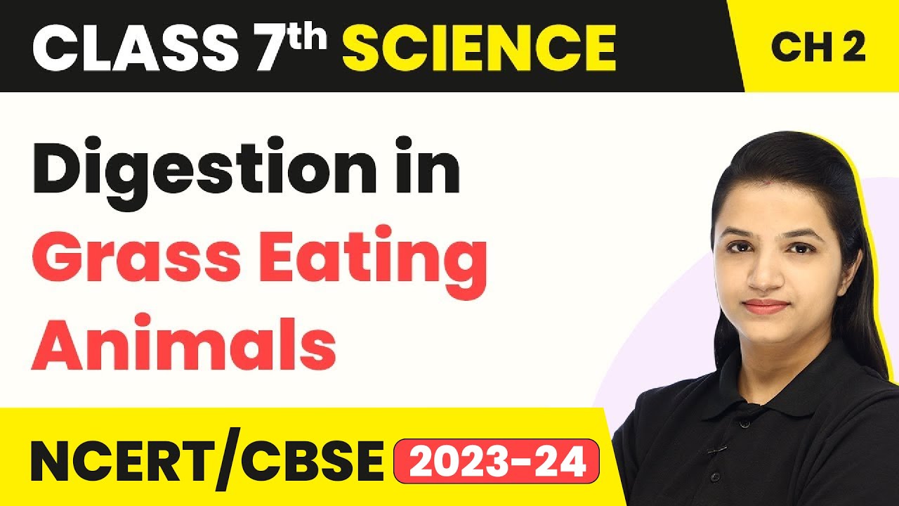 Class 7 Science Chapter 2 | Digestion in Grass Eating Animals - Nutrition in Animals