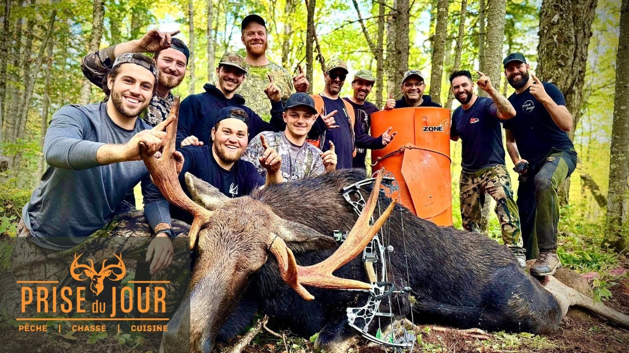 Chasse &agrave; l'orignal - R&eacute;serve faunique des Laurentides - S&eacute;paq