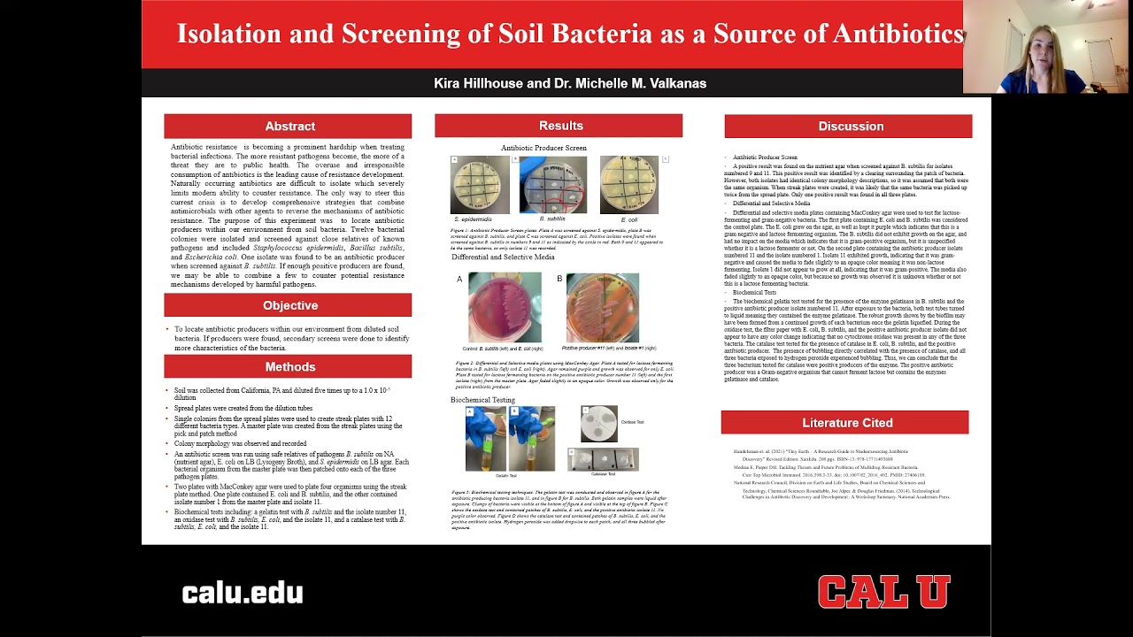 Isolation and Screening of Soil Bacteria as a Source of Antibiotics
