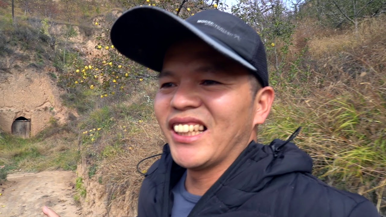 【陝西】實拍滿山的雪梨掉滿地，居然不要了。這裡的人依舊很多穴居，山上挖幾個洞就當成了家