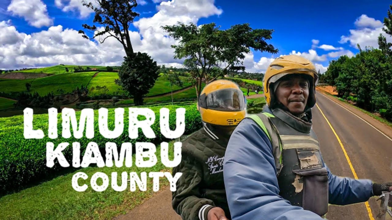 Where The World's Finest Tea Comes From, LIMURU Kenya.