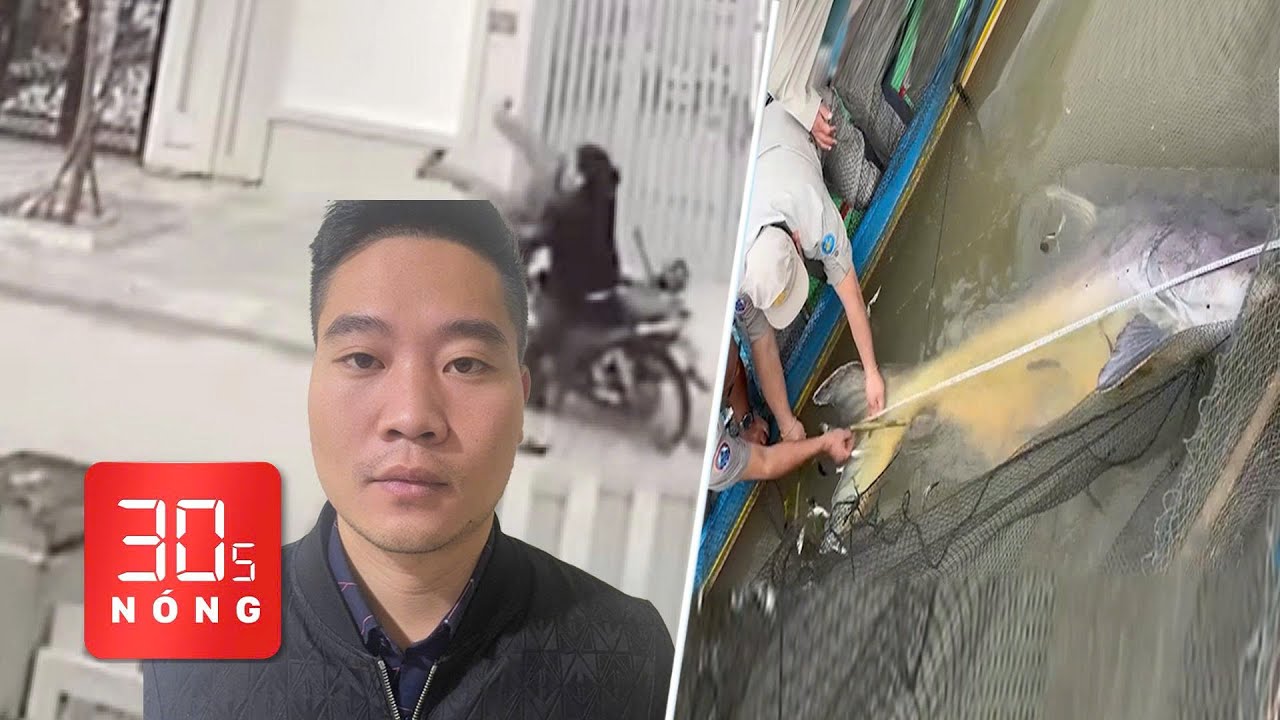 Bản tin 30s nóng: Tạm giữ 1 nghi can vụ đánh người sau tông xe; Thả cá 100kg về Biển Hồ
