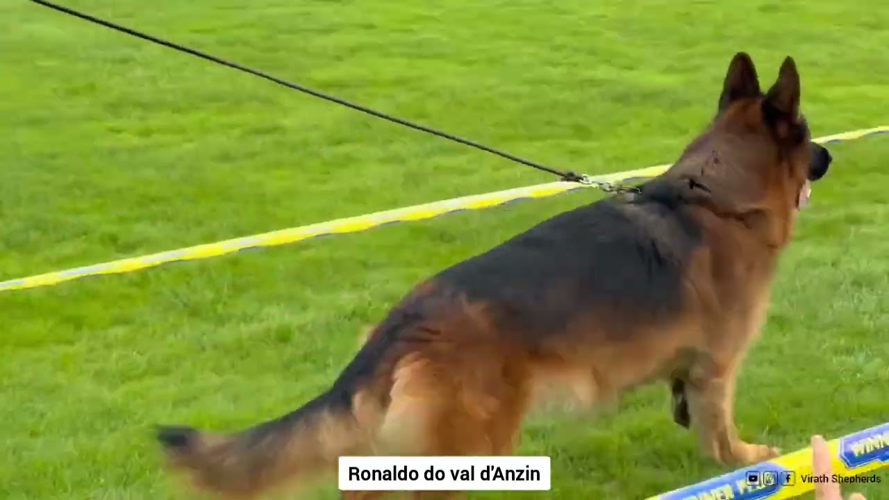 Ronaldo do val d'Anzin @ bszs 2025 