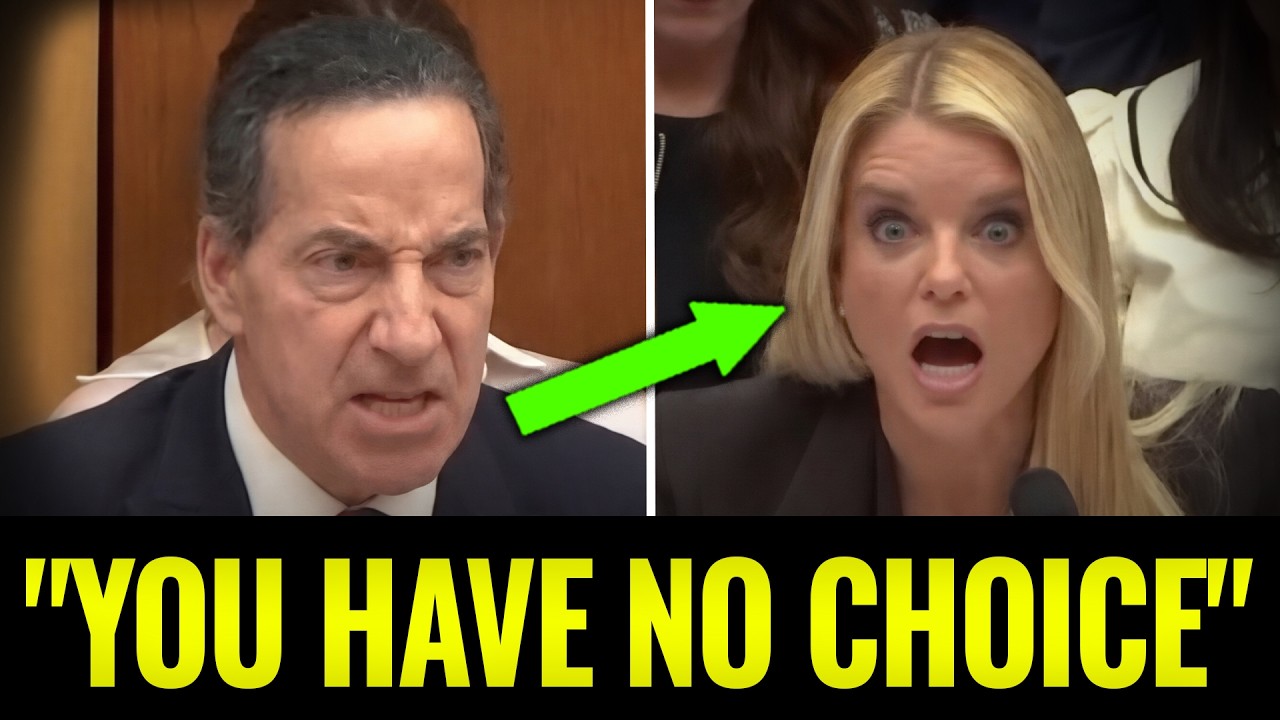 WATCH Raskin SHUT DOWN Pam Bondi - Puts Her In Her PLACE After Constant Interruptions!