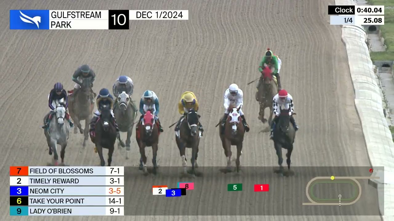 Gulfstream Park December 1, 2024 Race 10