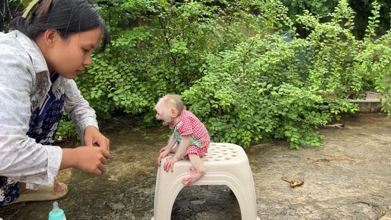 Chamroeun screaminq anqry Mommy Because He Already Walk and Mom Not Yet give Milk