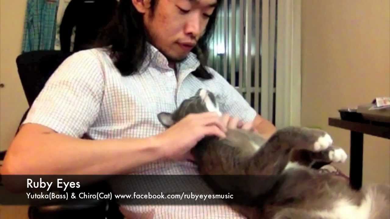 Cat Spa with Facial Massage by Yutaka(Ruby Eyes)