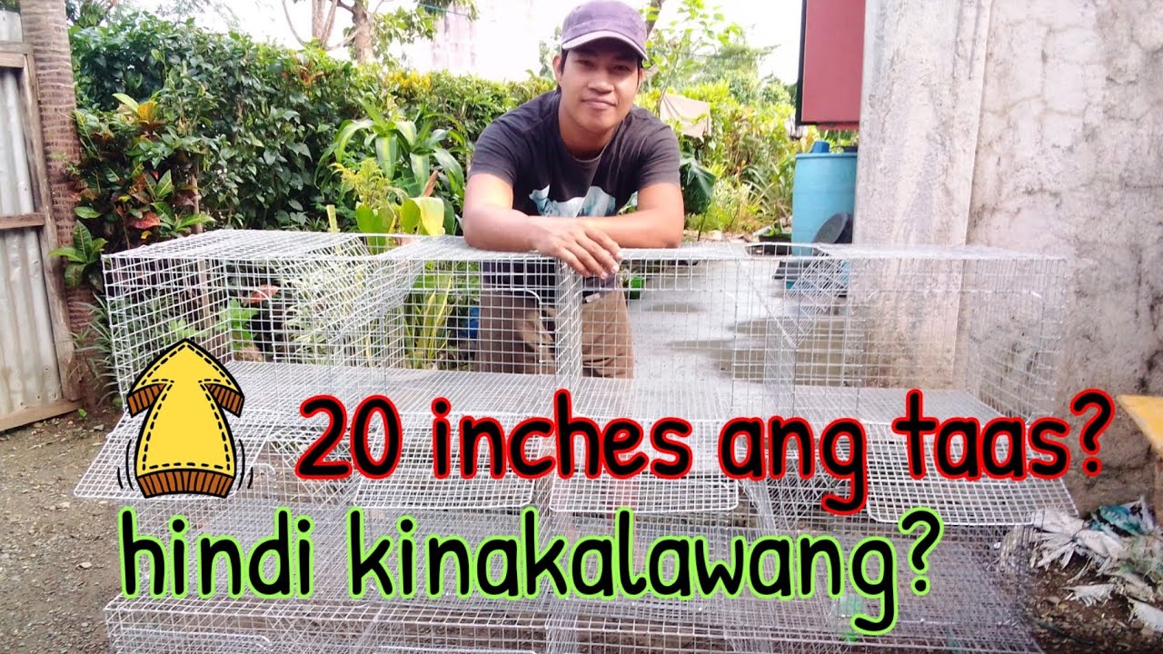 rabbit cage,ano magandang materyales at sukat paggawa. #viraccatanduanes
