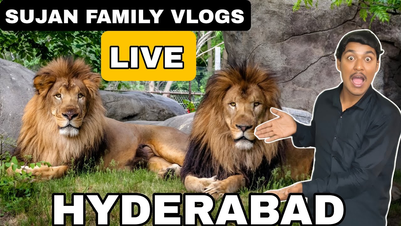 Hyderabad Nehru Zoological Park LIVE 🦁 | Animals Safari | Family Live Vlogs