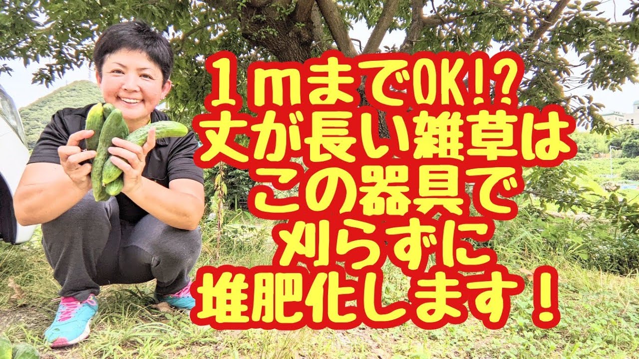 １mまで可能かも😳❗❓丈が伸びすぎた雑草も、この器具を活用すると堆肥化できます😆❗
