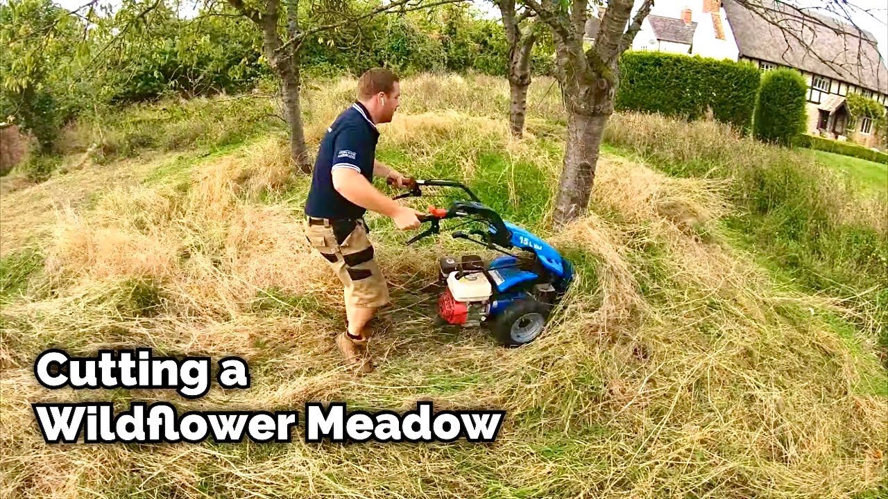 Cutting and Clearing a Wildflower Meadow by Hand - Timelapse