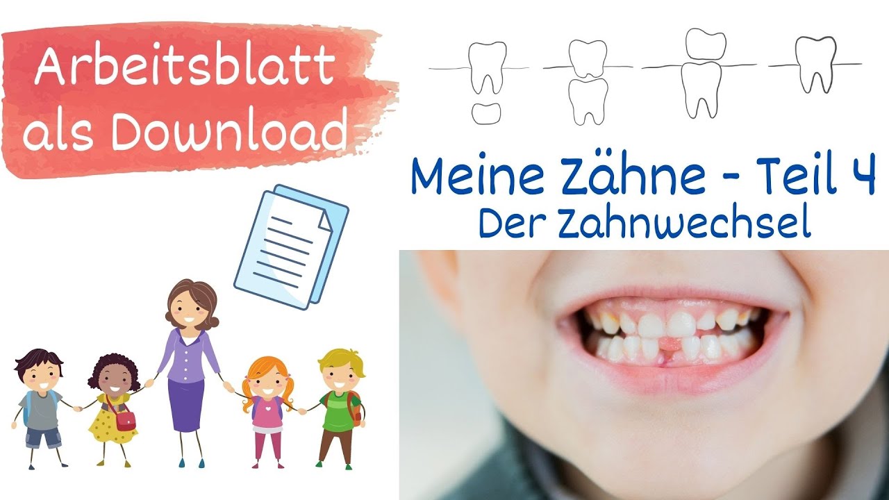 Meine Z&auml;hne Teil 4 - Der Zahnwechsel. Warum wackelt mein Zahn? Sachunterricht Grundschule - mit AB
