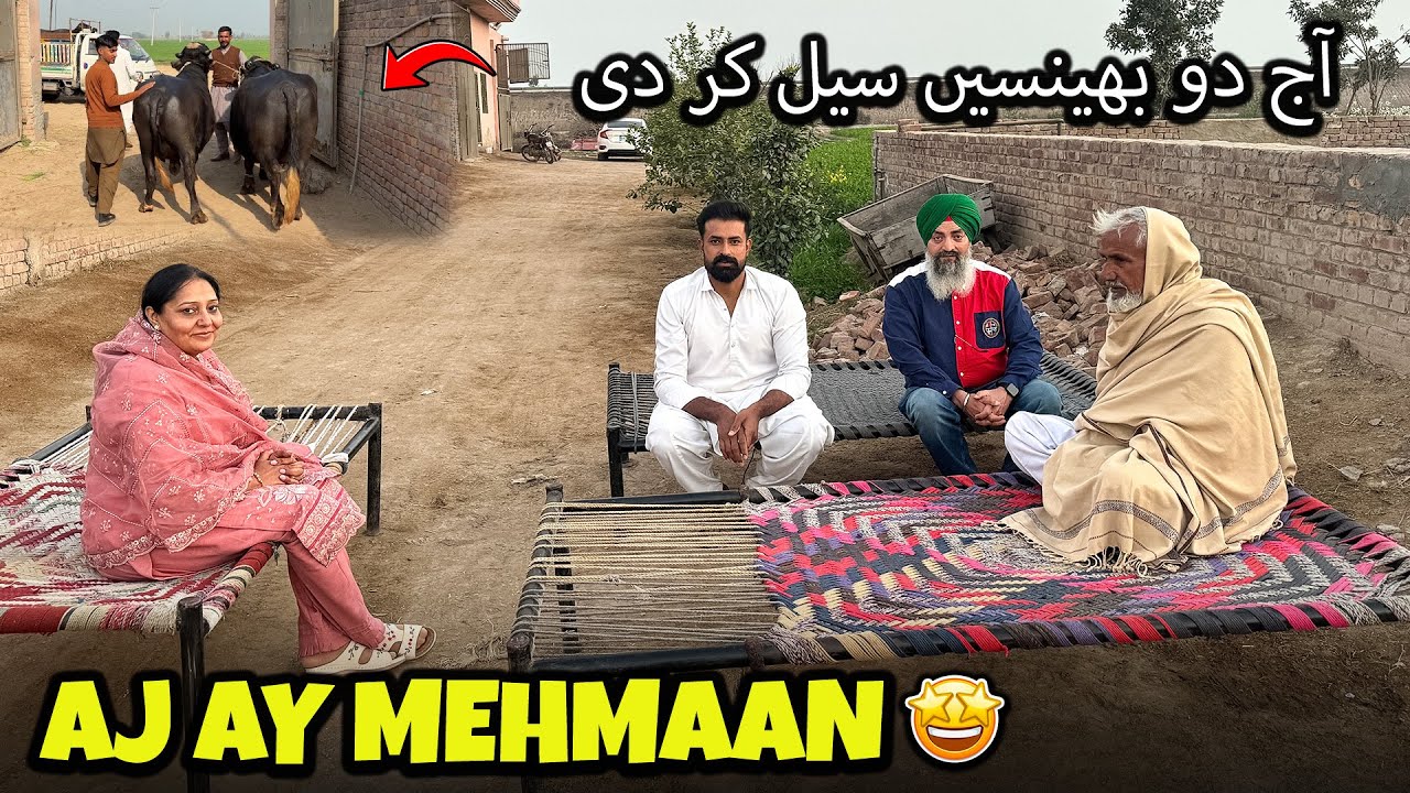 AJ AY MEHMAAN 😳 آج ہم نے دو بھینسیں سیل کر دی