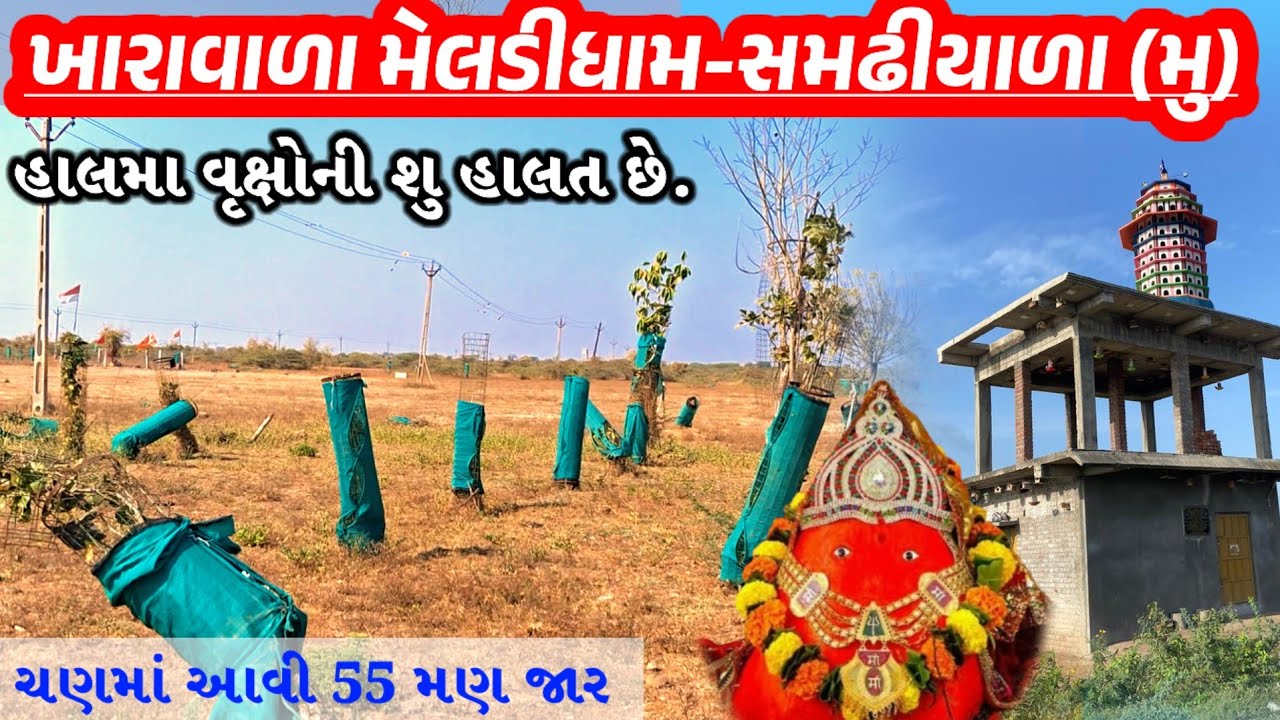 ખારાવાળા મેલડીધામ-પંખીઘર / સમઢીયાળા || હાલમા કેવી છે વૃક્ષોની હાલત #kharavala_meldi_ma_official 