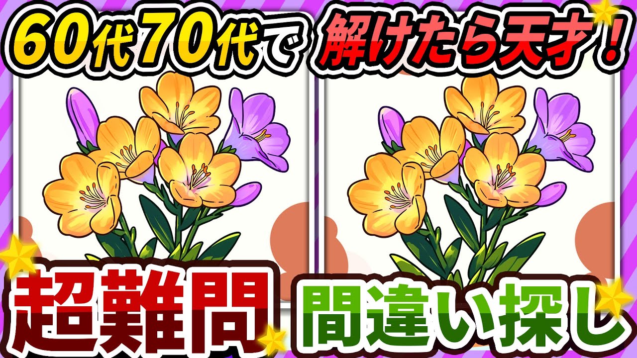 【間違い探しクイズ】⚠️むずかしいフリージアのイラスト編！脳活＆脳トレにおススメ無料ゲーム【アハ体験有り】#204