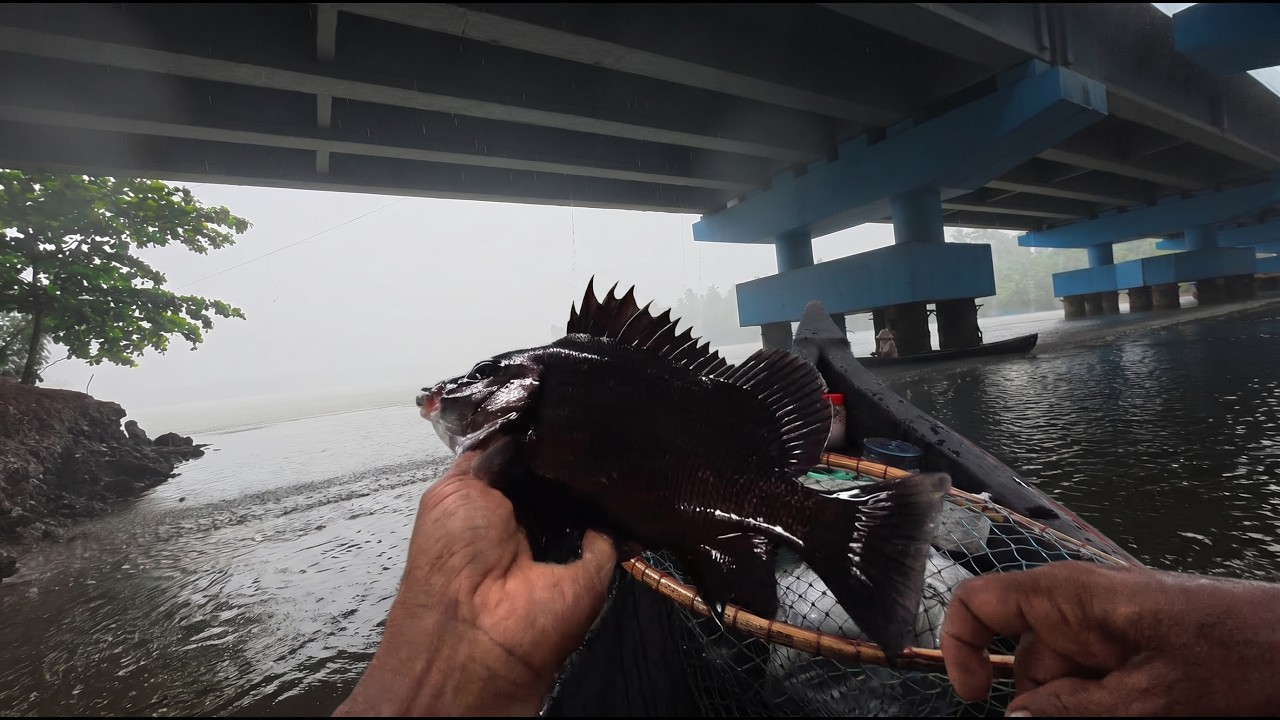 Unexpected Rare Catch in Heavy Rain! 🌧️🐟 | Naadan Fisherman