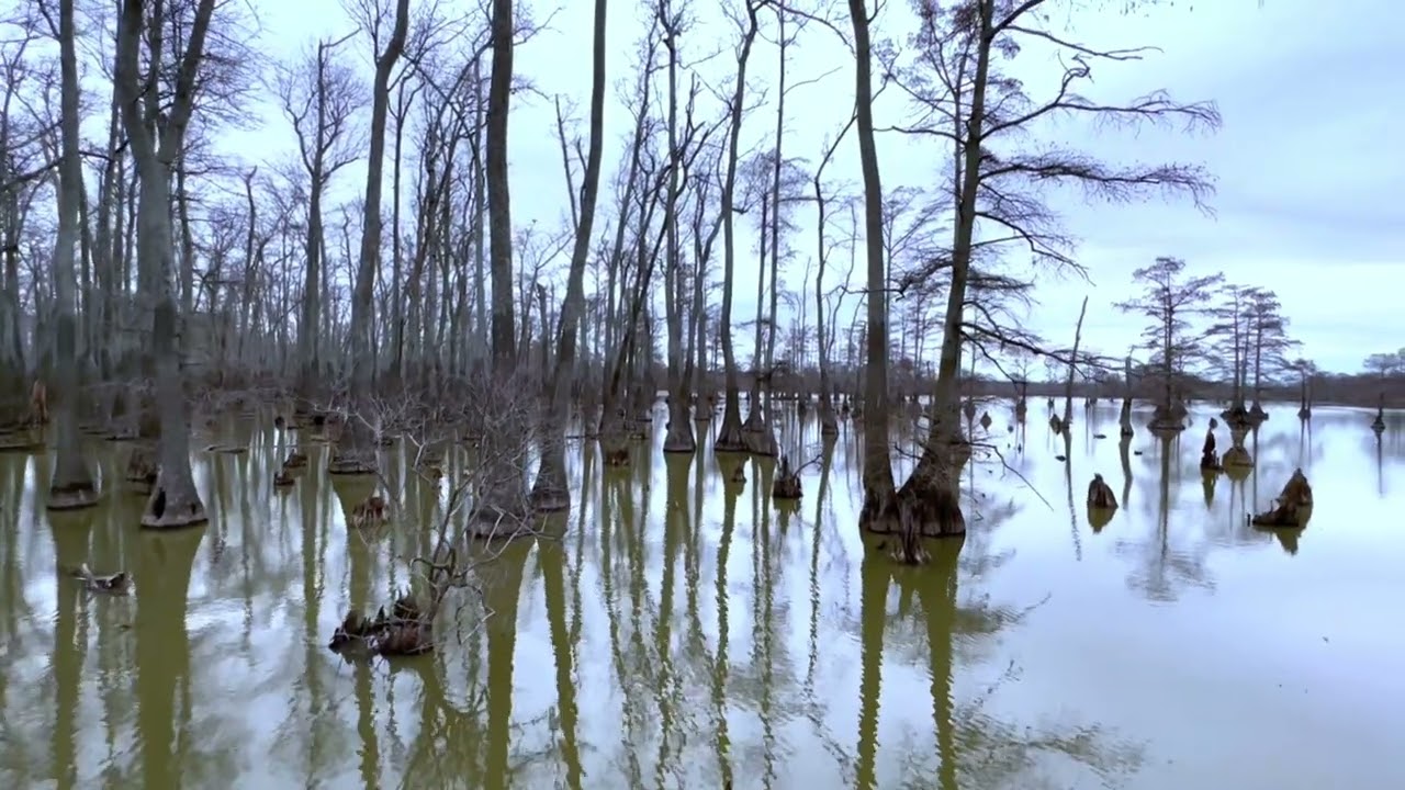 Horseshoe Lake 1/7/23 - Alexander County, Illinois 4K
