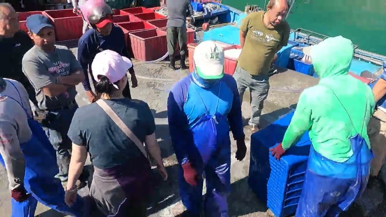 【秘境大公開】連地圖都找不到的漁港，竟捕獲「土魠魚山」，今天中了樂透頭獎！ 朝陽漁港 定置漁場 seafood 3