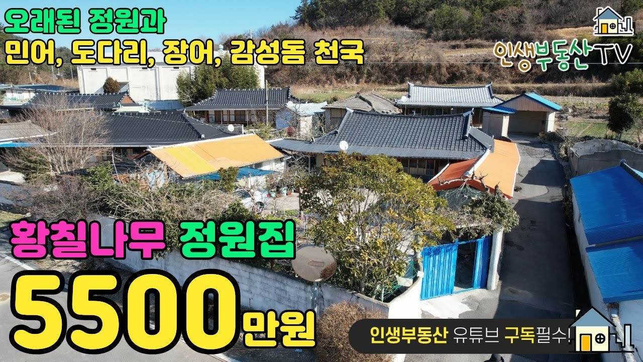 4계절이 풍성한 황칠나무 시골집 5500만원