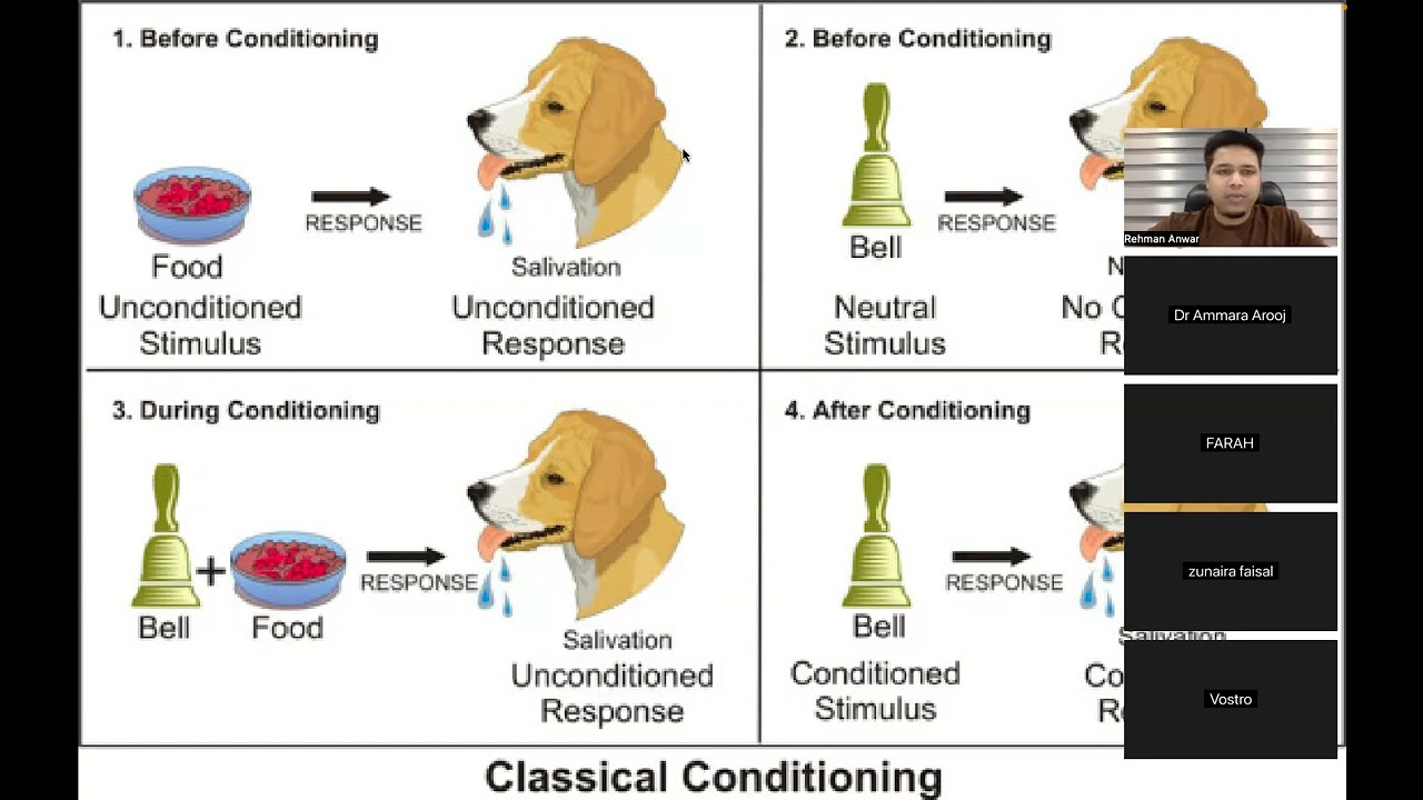 Reinforcement in ABA | Positive & Negative Reinforcement Explained with Examples