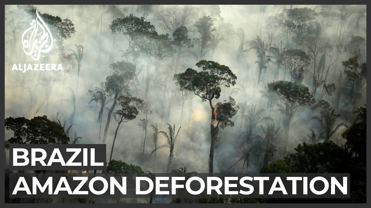Deforestation in Brazil’s Amazon surges to 12-year high