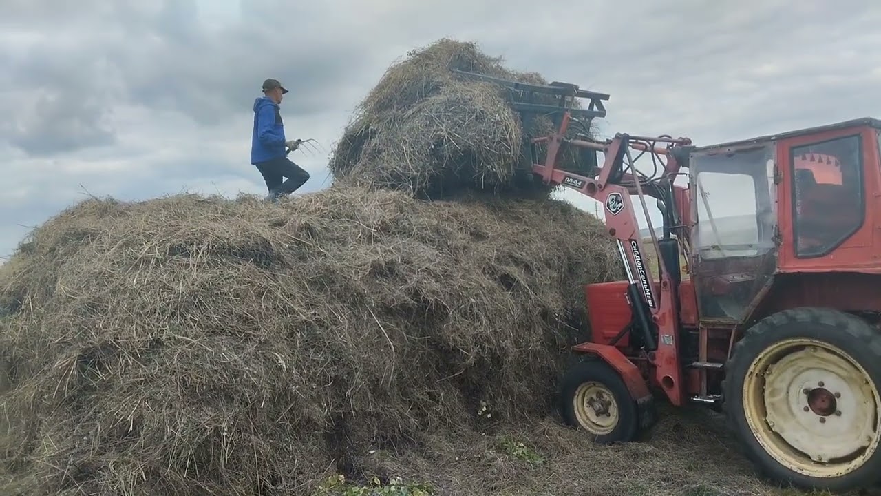 Сенокос -25 . Трактор т-25 . Завершение сезона. Копнушка с куном. Чай на природе. 