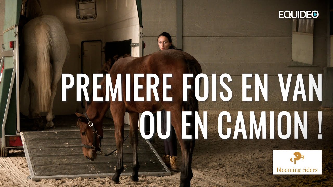 Qui galère pour charger son cheval en van ou en camion ?