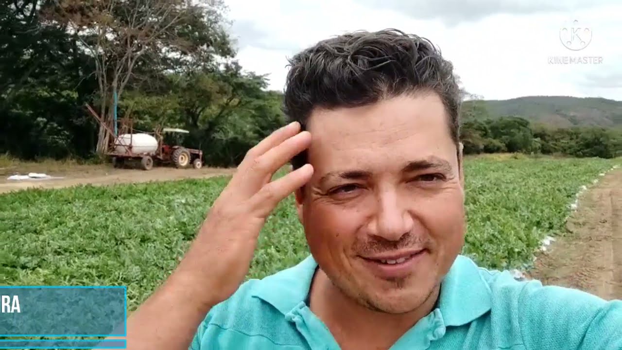 Conheça os TRUQUES de manejo na Florada da Melancia