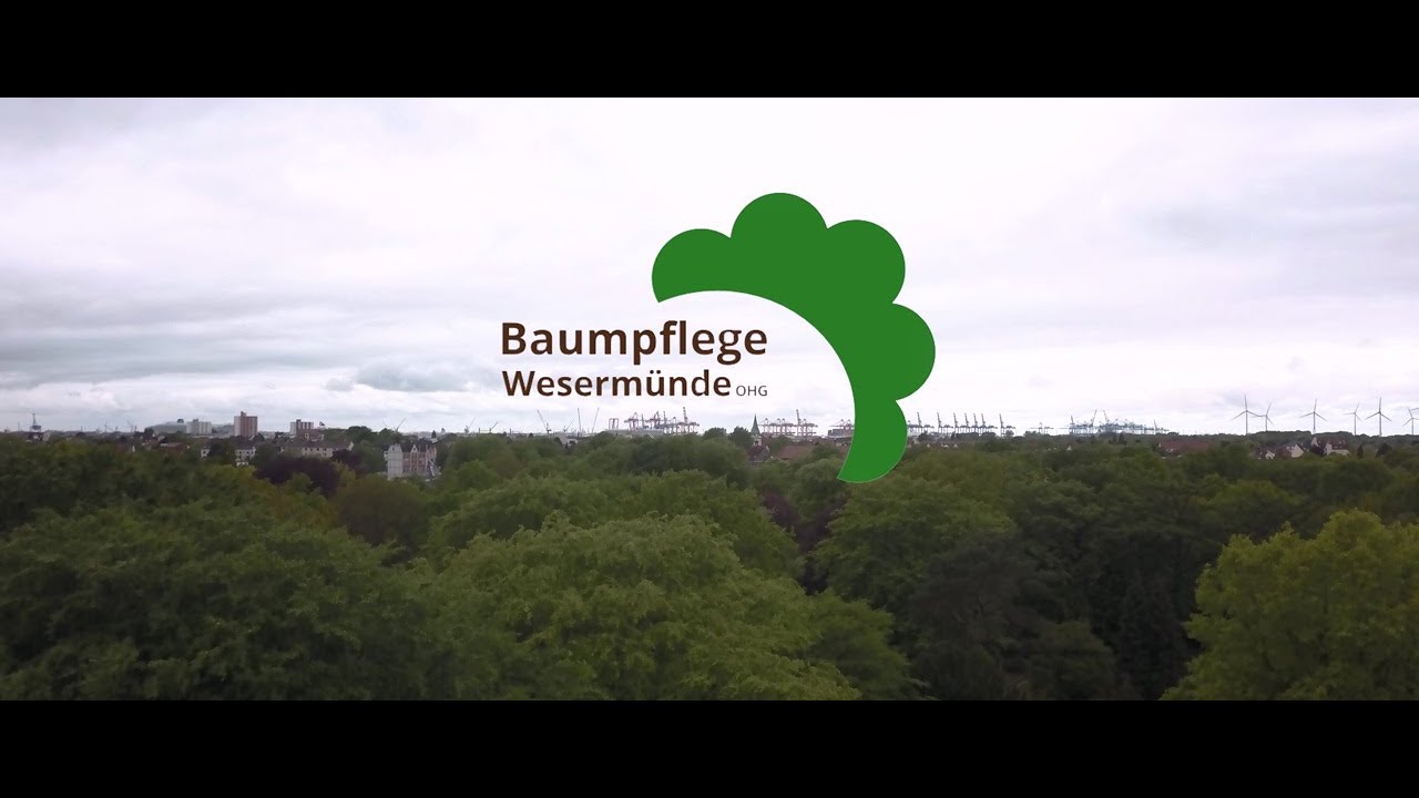 Baumpflege Weserm&uuml;nde | Ihr Fachbetrieb aus Loxstedt