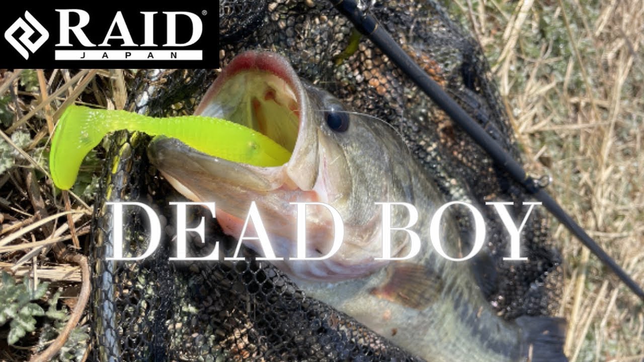 【RAID DEADBOY】 これ久々にガチみたいです 