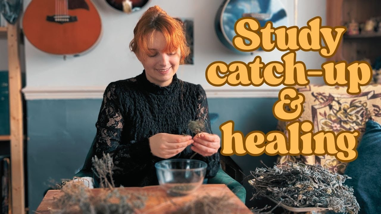 Study catch-up | The Plant Medicine School 🌱  |  healing from school wounds ☘