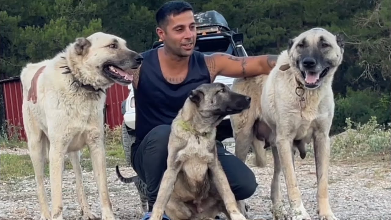 KANGAL ÇAVUŞ VE ANNESİ HAYEL YILLAR SONRA YANYANA GELDİ😍