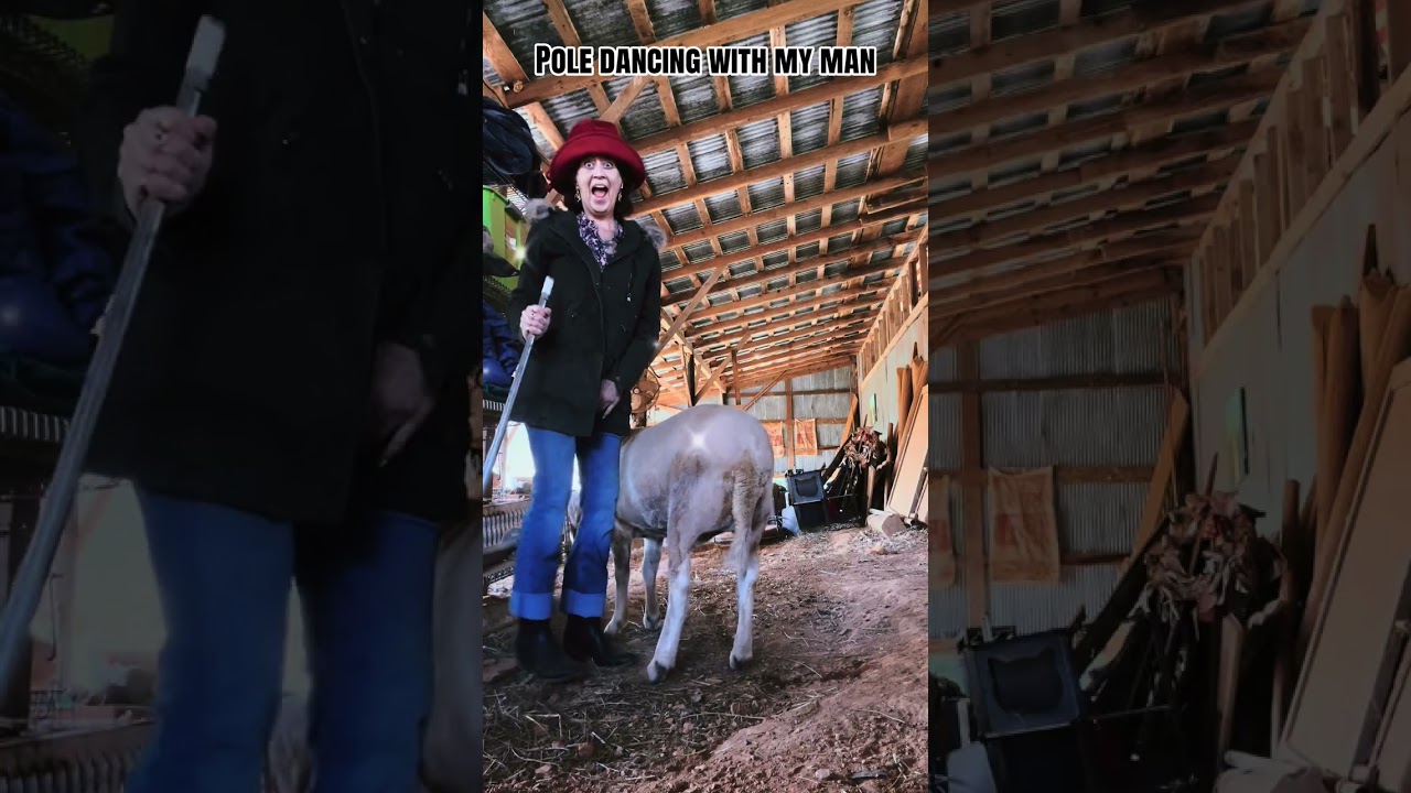 The Good Shepherd Natalie POLE DANCING! With sheep! 