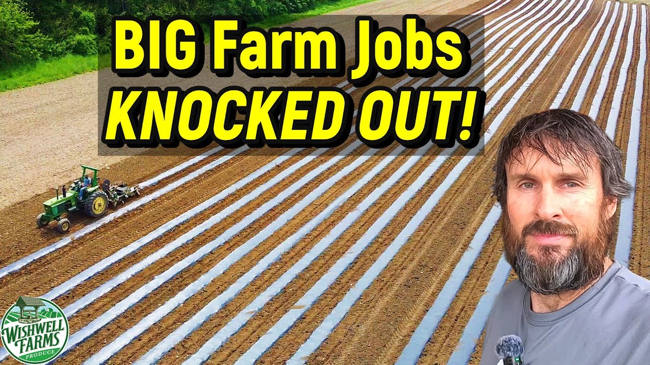 Knocked Out BIG Farm Jobs! 🌽 Laying Mulch & Planting Sweet Corn