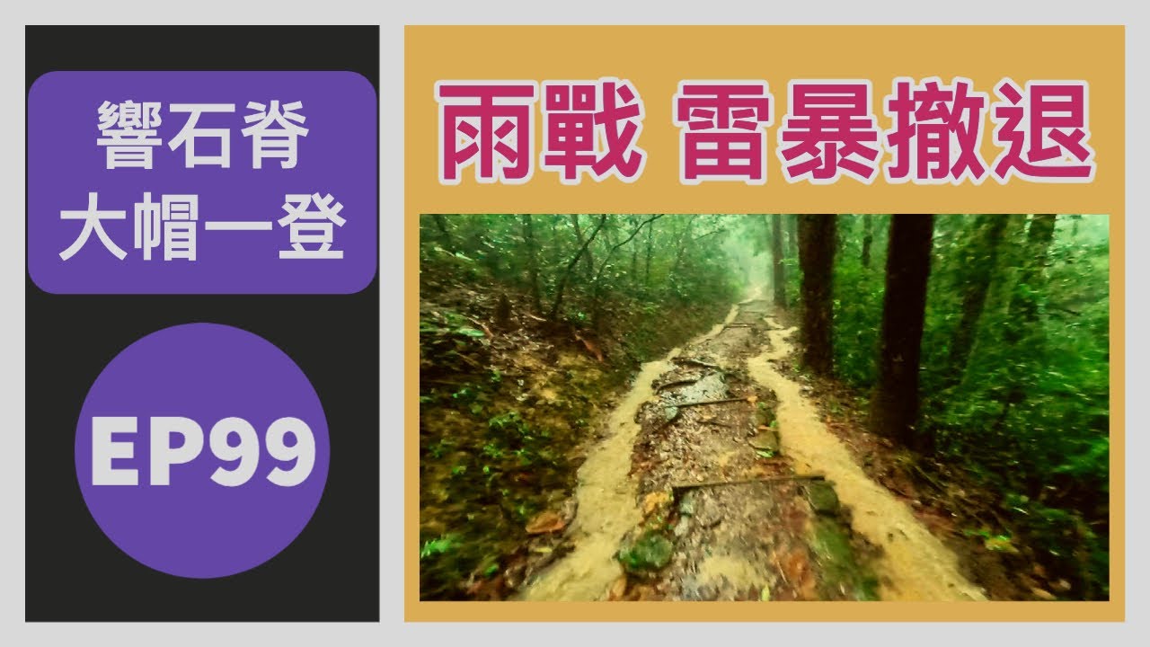 👣咪咁行◤EP99◢⛰️▶荃灣行山◀⛰️綠楊坊⇒芙蓉山⇒響石脊⇒妙高台⇒波波⇒四方亭⇒波波⇒蓮姐⇒甲龍林徑⇒雷公田