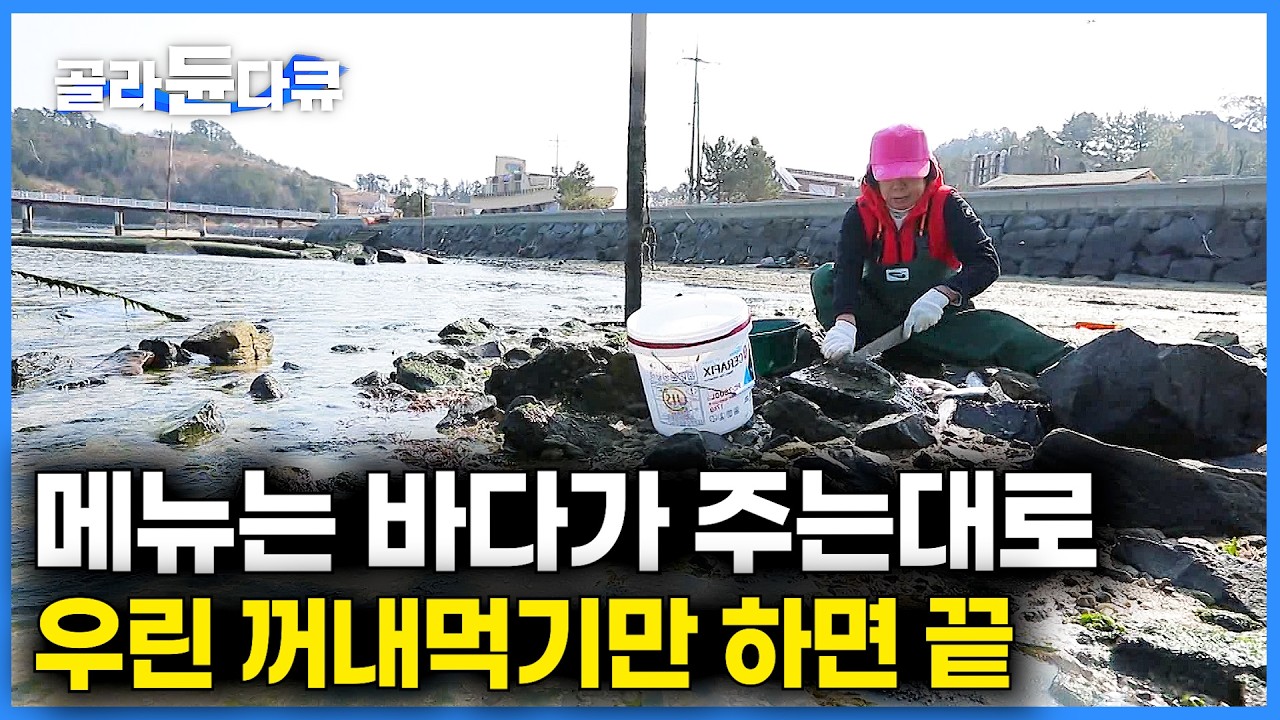 고기 바글바글한 바다가 주는대로 먹고 산다. 바닷마을 사람들이 잘 먹고 잘 사는 법 ｜낚시 한번에 고기 세마리가 줄줄이 딸려나오는 보물 창고｜한국기행｜#골라듄다큐