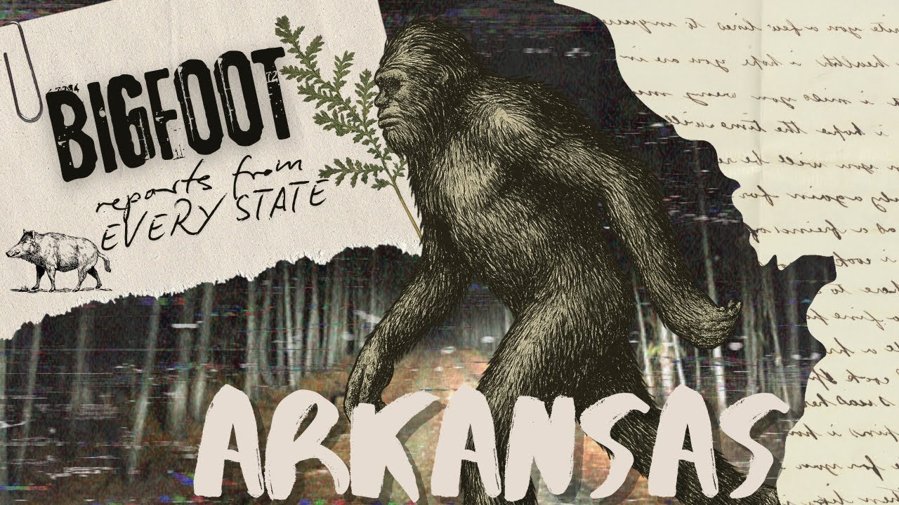 BFRO Bigfoot Sightings in Every State: Arkansas