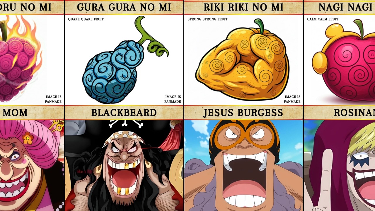 All Devil Fruit Users in One Piece (PART 1: PARAMECIA)