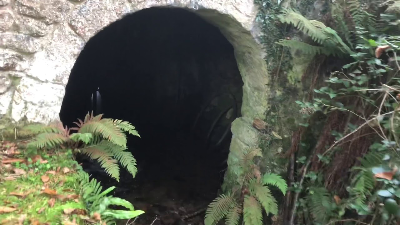 Las mejores rutas por CANTABRIA “Río Rubionzo “ por los Valles Pasiegos 🥾🐕🦯