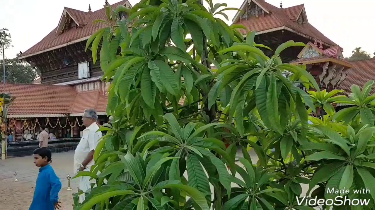 KSRTC Sarkara Pamba 2017