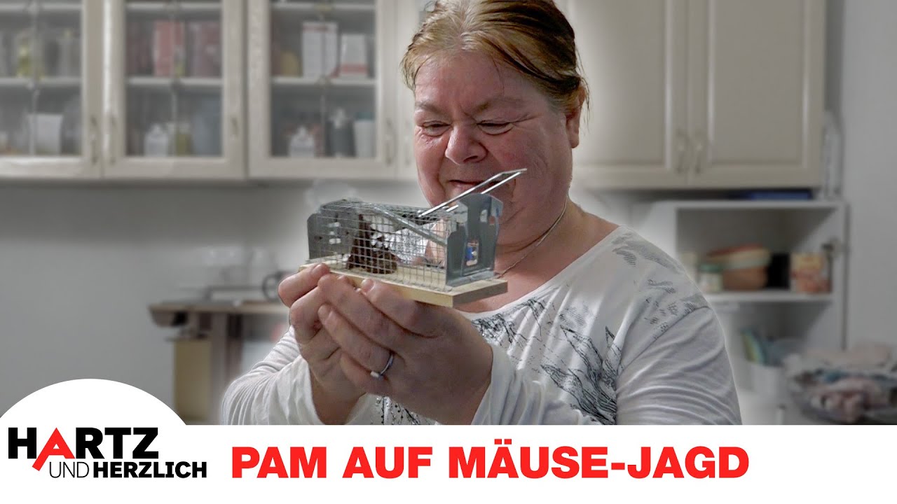 Mäuse-Jagd: Pamela kämpft mit Mausefalle 🪤🐁 | Hartz und herzlich - Rostock #692 #693