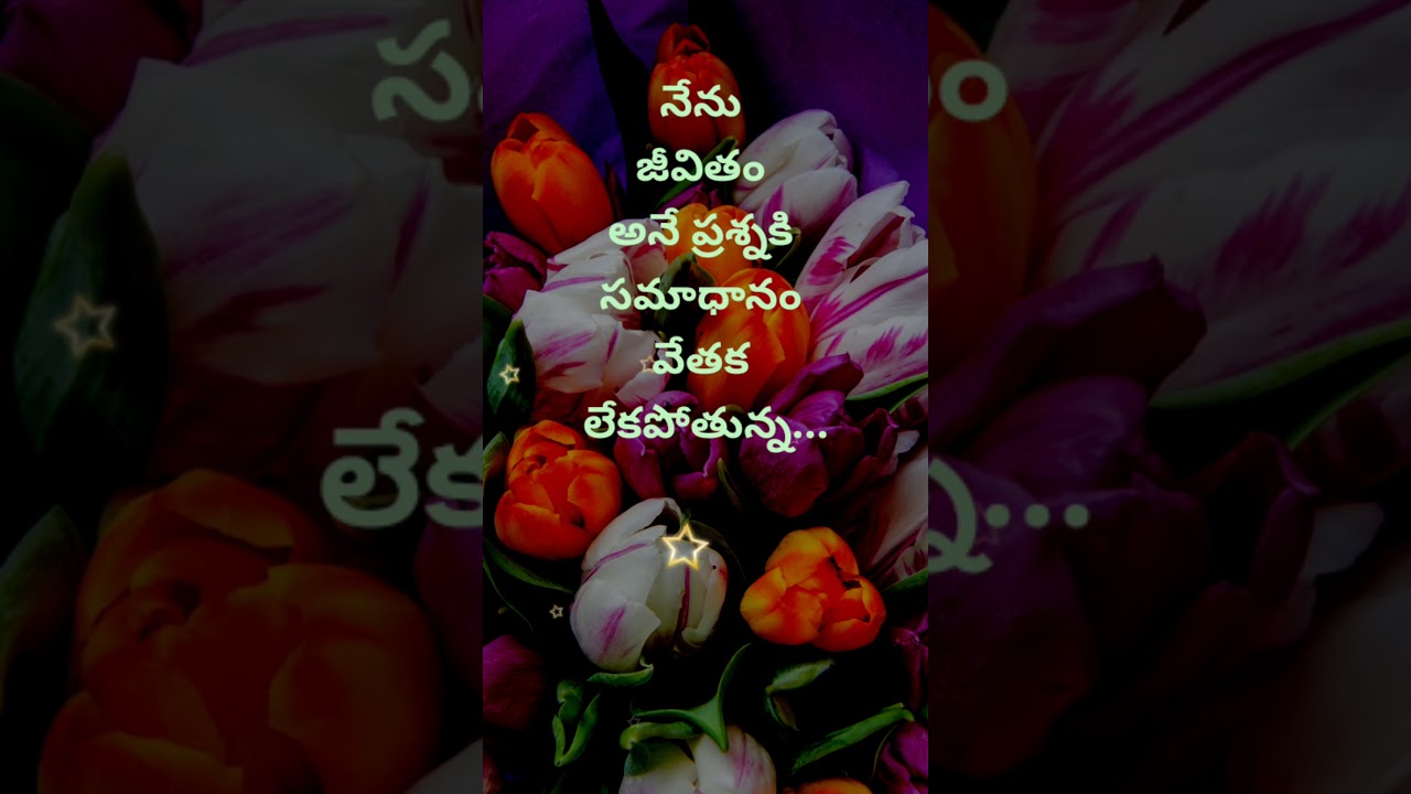 Top matalu #2010 | neethi vakyalu | quotations | manchi matalu | telugu sukthulu | jeevitha satyalu