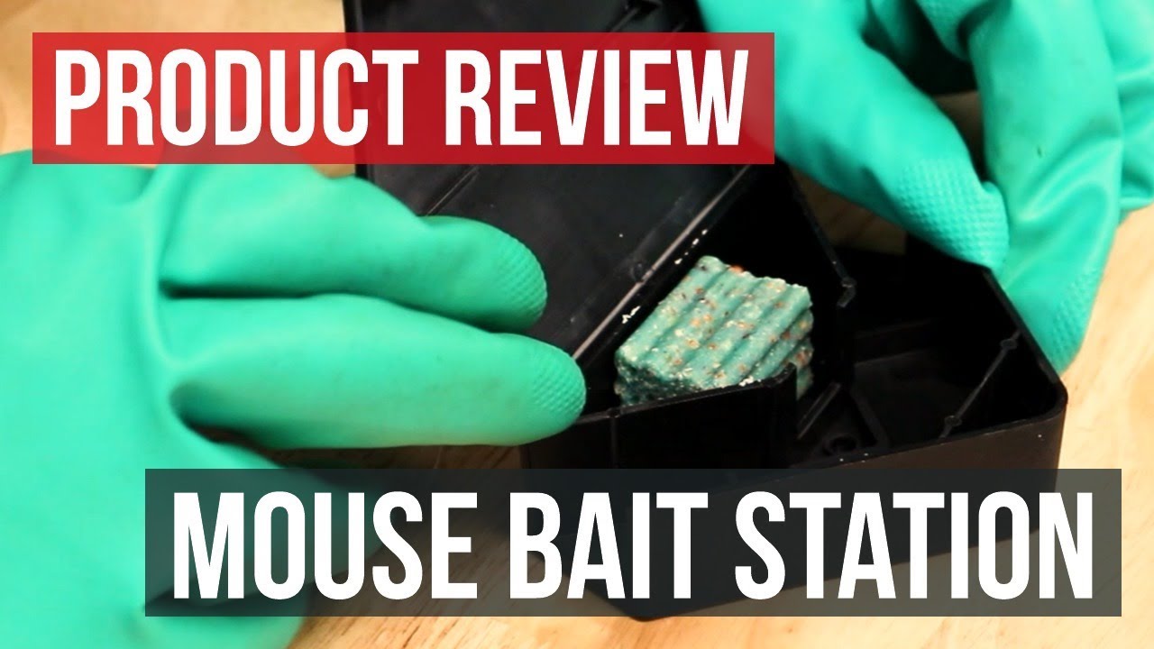 Solutions Mouse Bait Station: Product Review