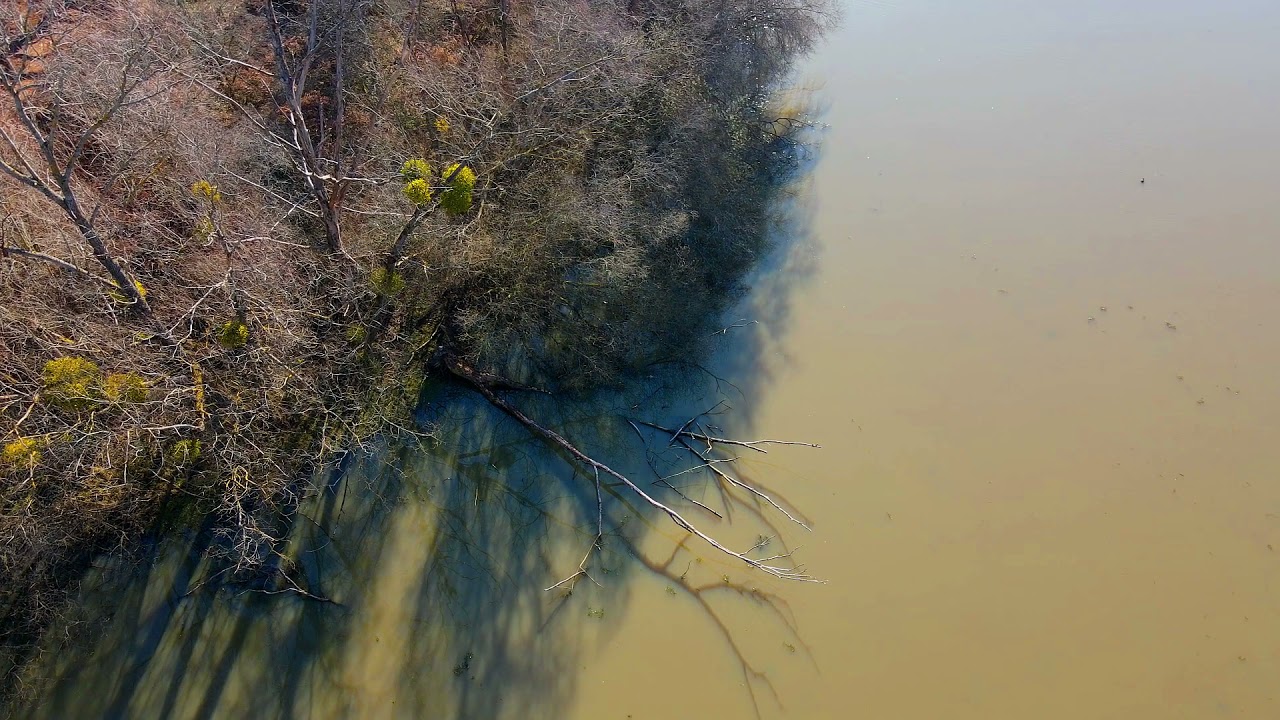 Foret de Rambouillet - étang de la tour   DJI Mavic Air 2