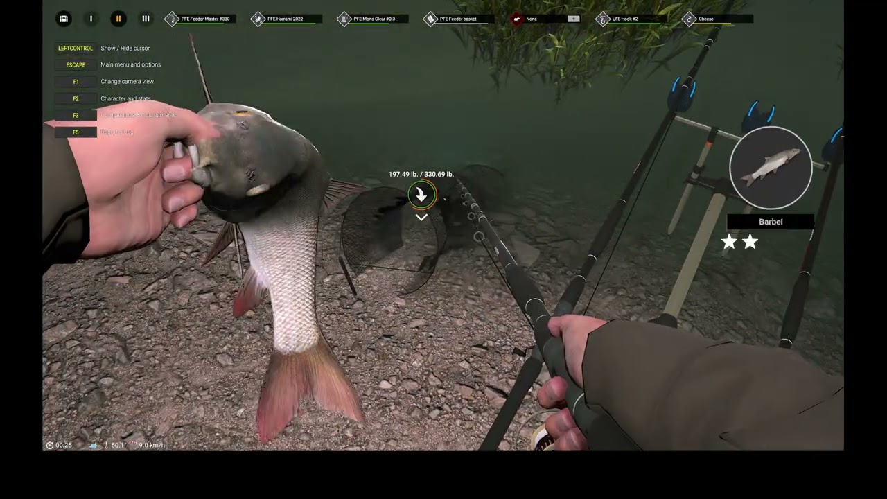 Professional Fishing 2 - Barbel Hot Spot on the River Pisa - Fish from 18:00 until 10:00am